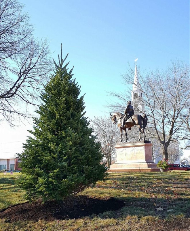 Milford Christmas Tree Planted in Draper Park Citizens for Milford