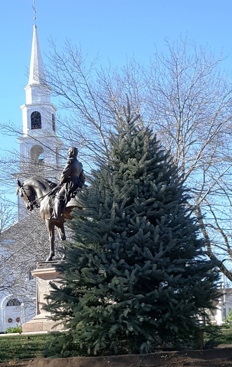 Milford Business Owner Installs New Christmas Tree in Draper Park as